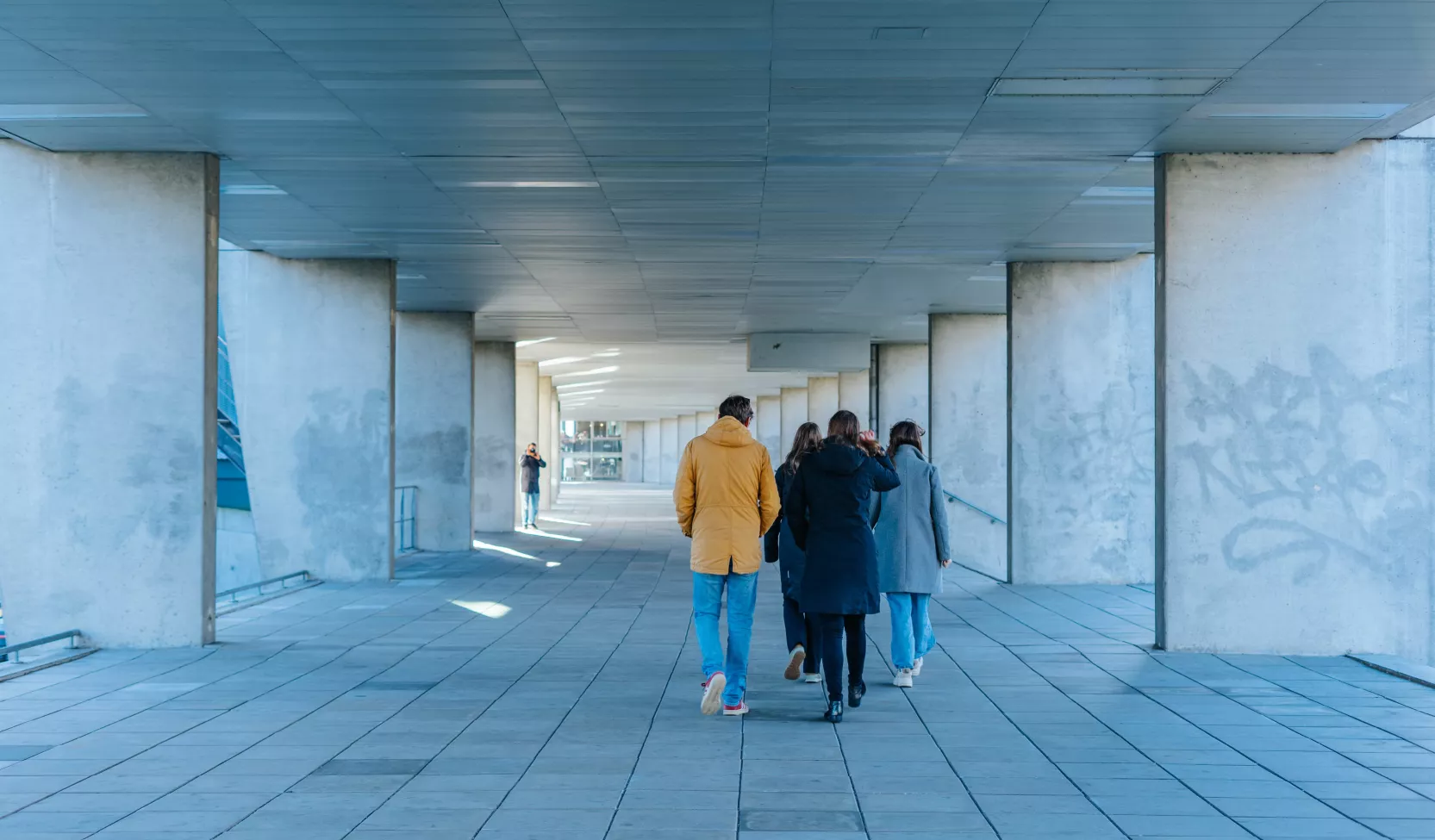 Data-gedreven werken