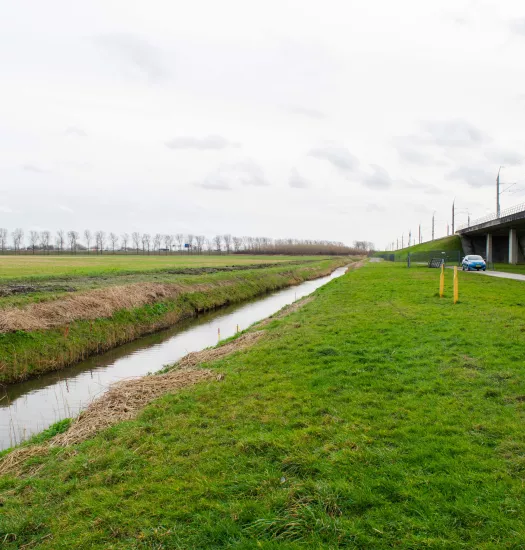 waterkwaliteit in de sloten, polder en boerenland onderzoeken samen met het hoogheemraadschap van Rijnland