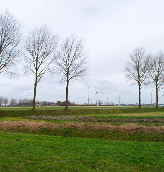waterkwaliteit in de sloten, polder en boerenland onderzoeken samen met het hoogheemraadschap van Rijnland